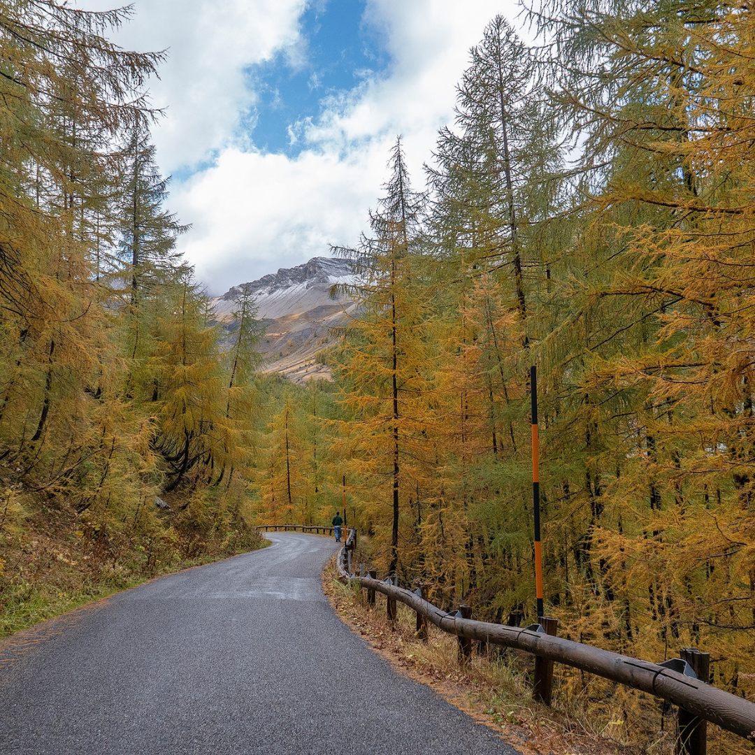 Route des Alpes d'Azur