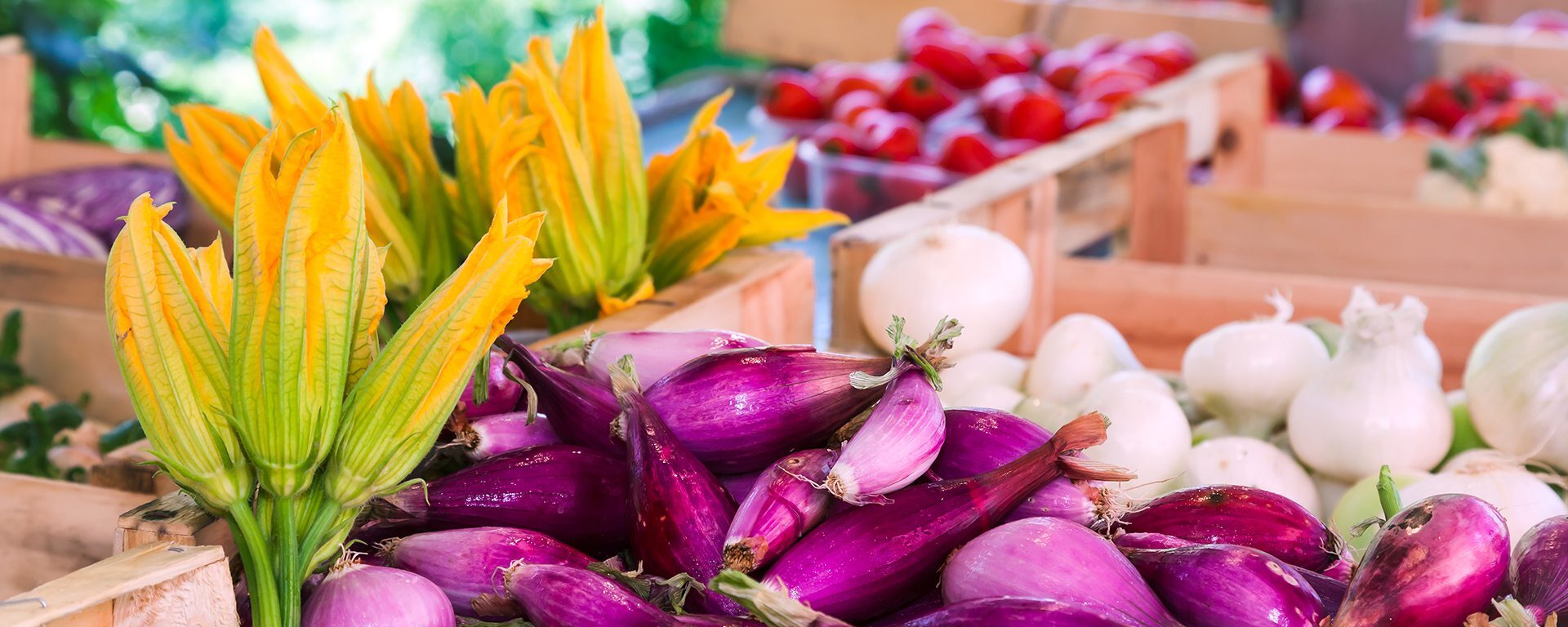 agriculture-gastronomie-terroir_moyen-var_agriculture_etalage_fruits-legumes_relais-pont-cians_alpesdazur_2018clement-lelievrejpeg-aspect-ratio-2000-800