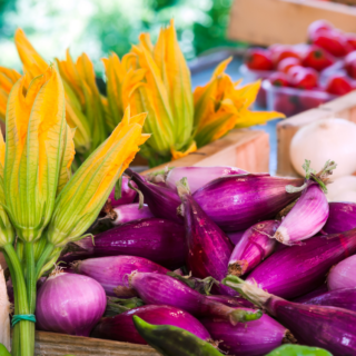 alimentation-aspect-ratio-600-450