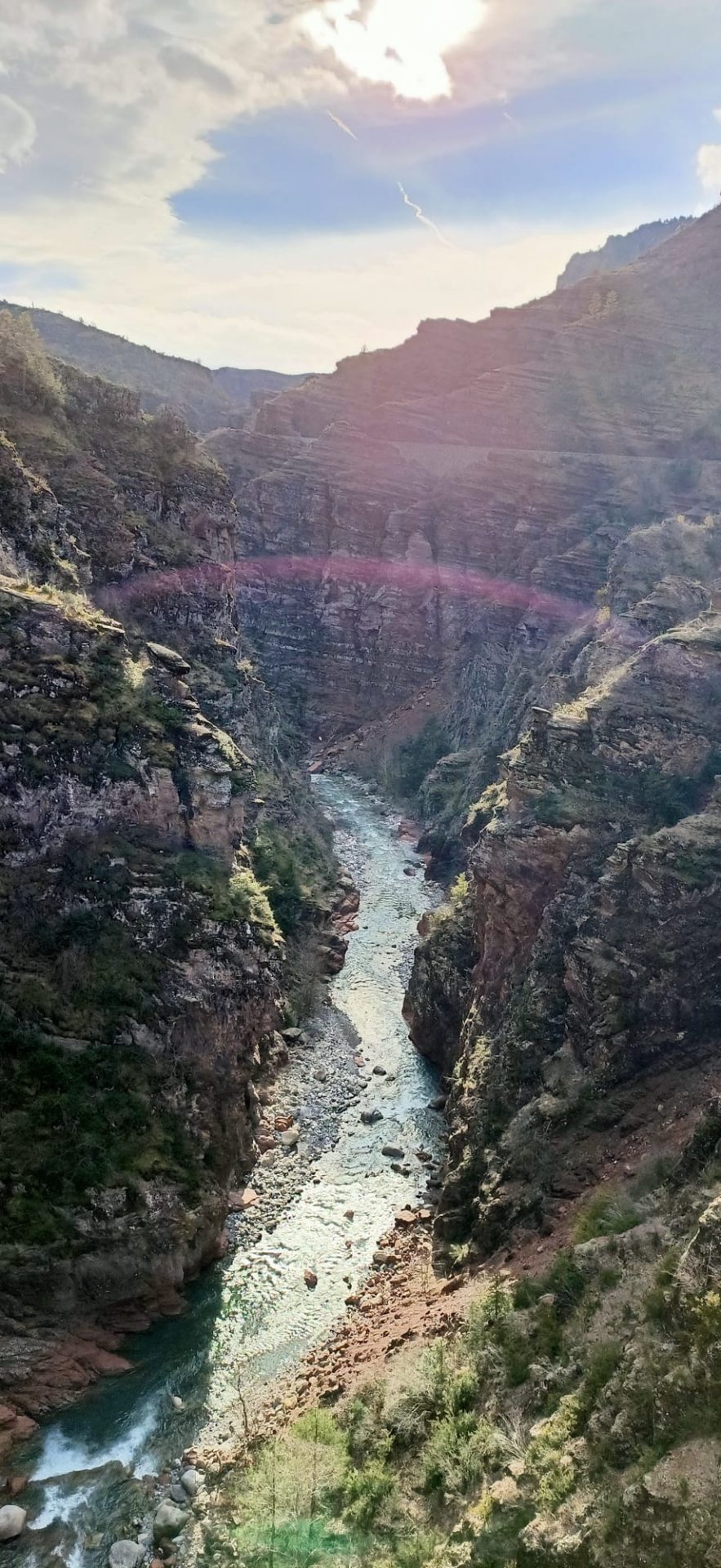 Les gorges de Daluis et le Var, RNR des Gorges de Daluis