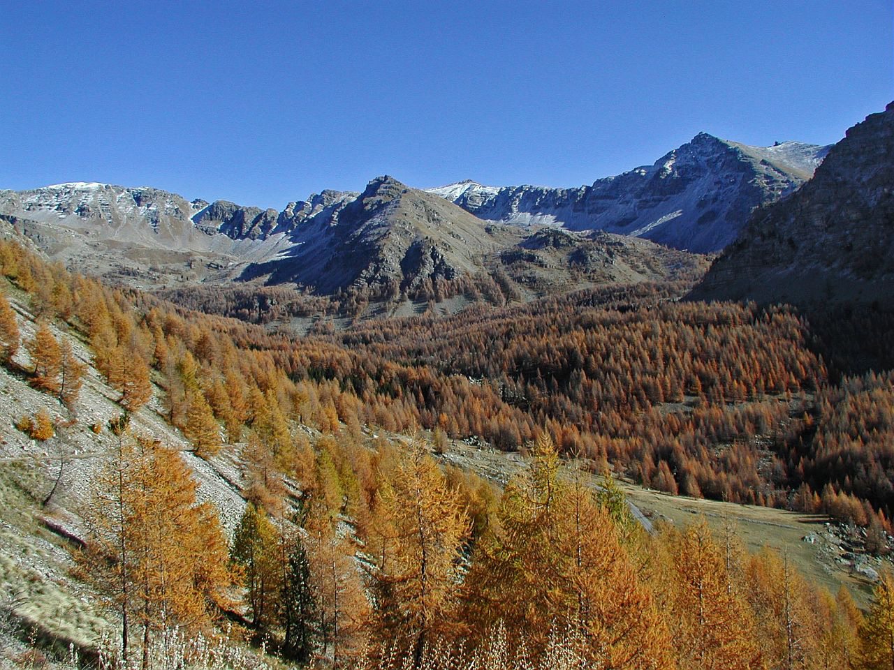 PNM_sanguiniere-automne@Cossa-J-L