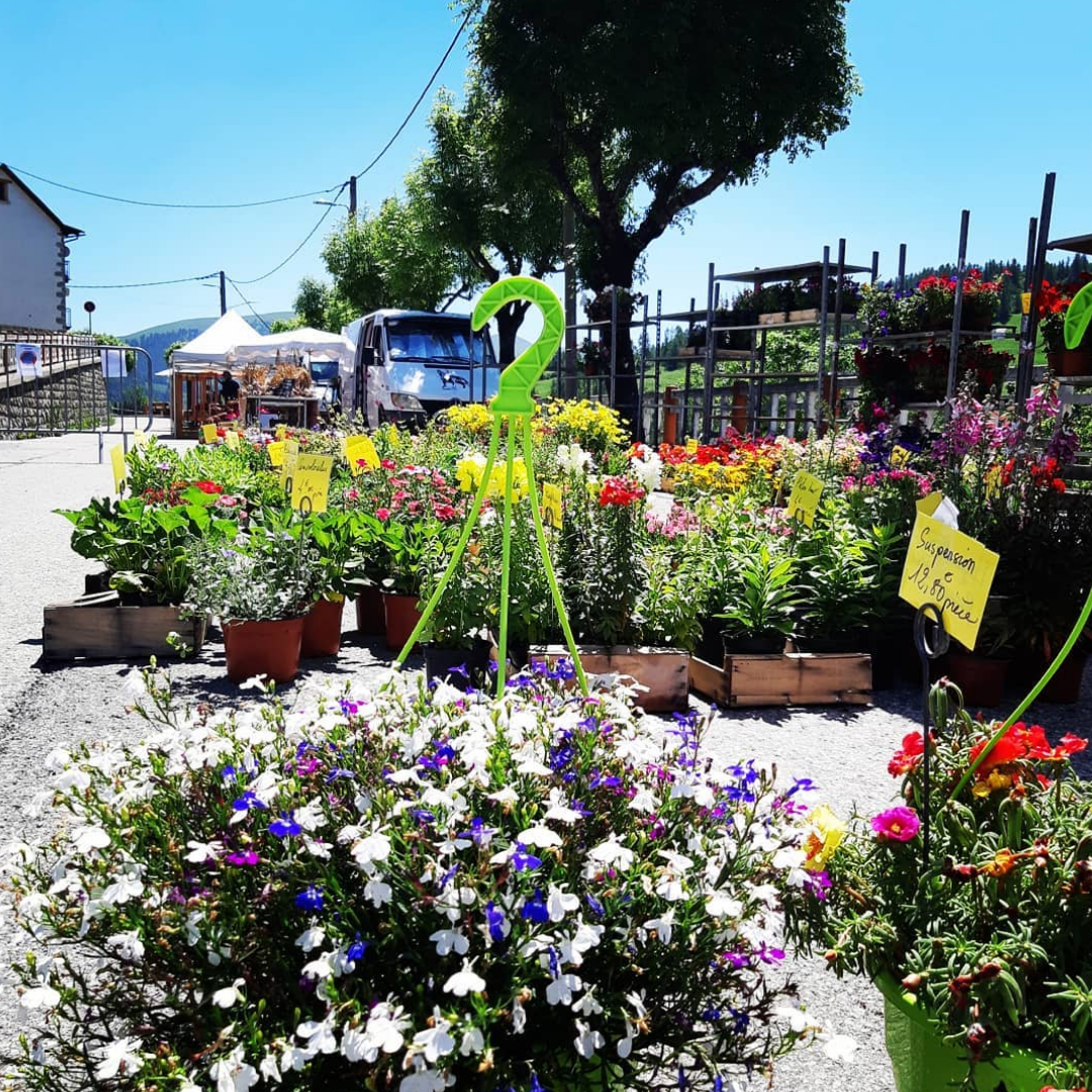 Foire aux plants