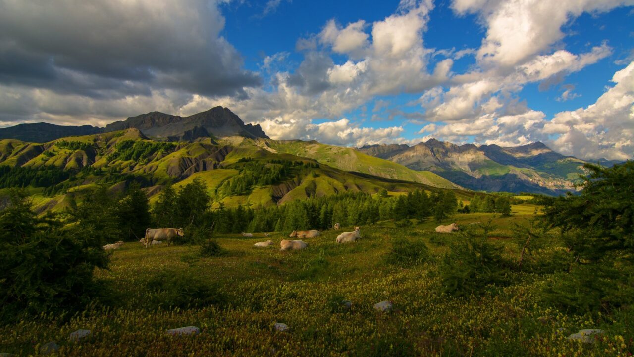 Col des Champs-Vaches