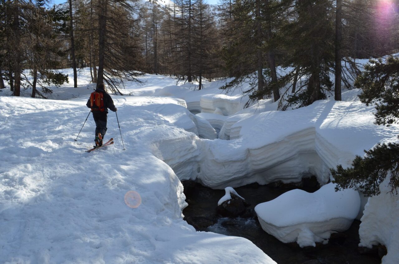 Torrent Sanguiniere 1