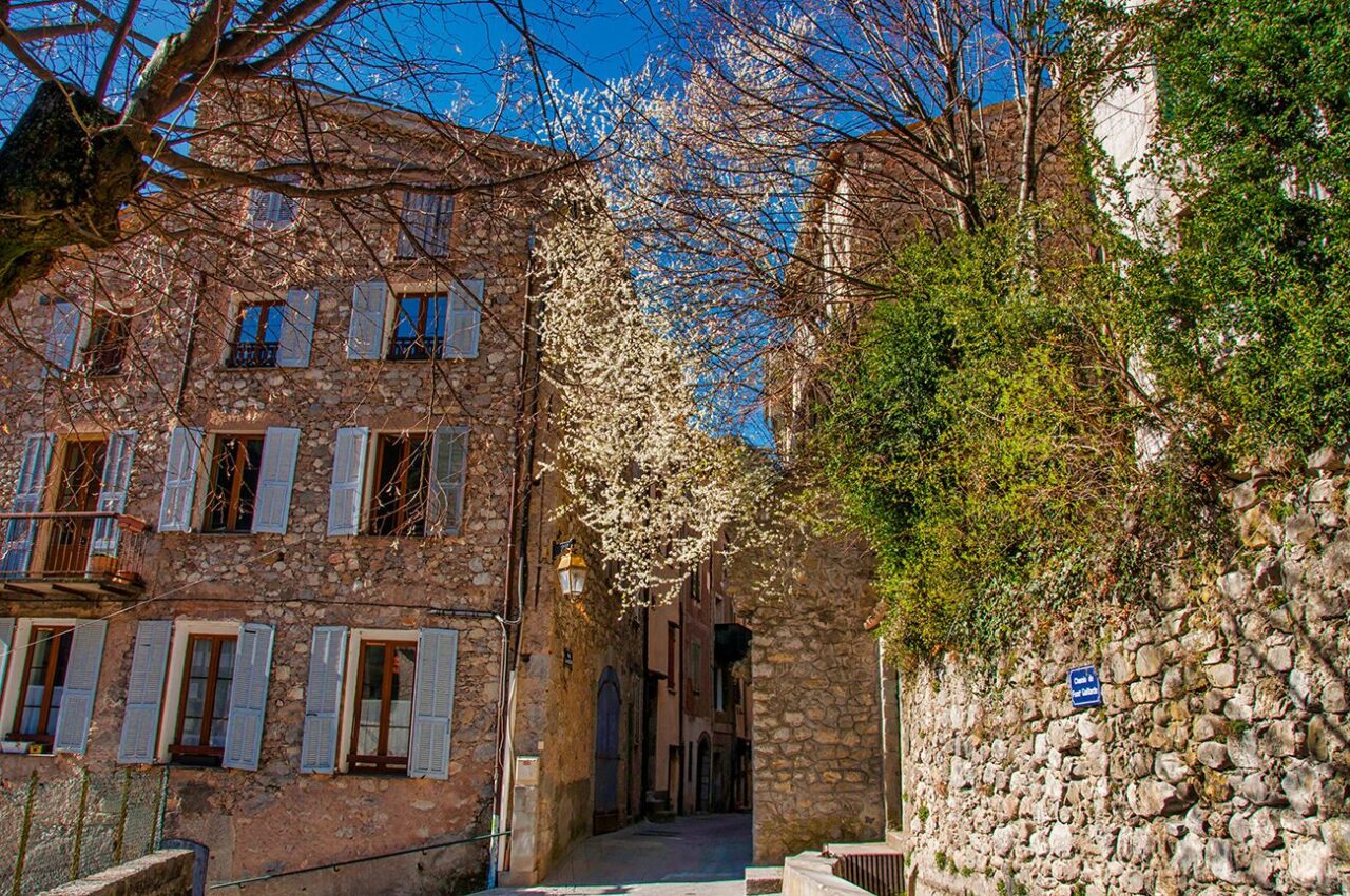Puget rue brouchier