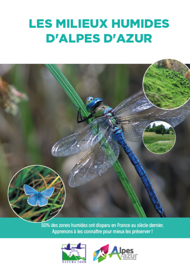 Flyer milieux humides Alpes d'Azur