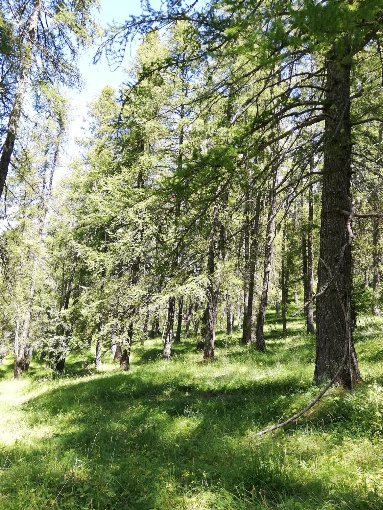 Sentier planétaire Valberg2_L.Menei