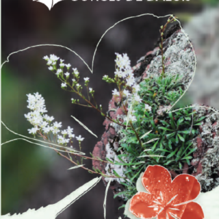 Brochure botanique RNR gorges de Daluis