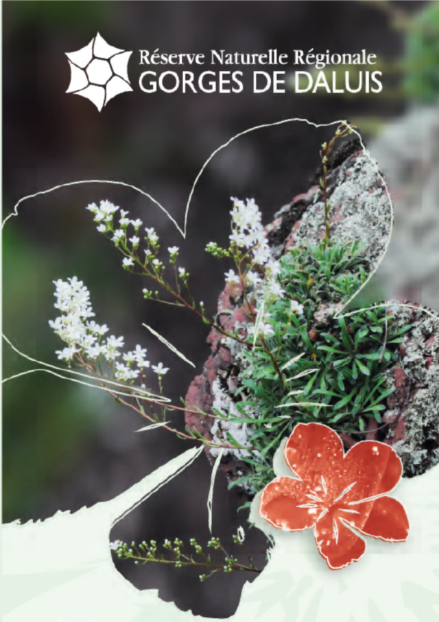 Brochure botanique RNR gorges de Daluis