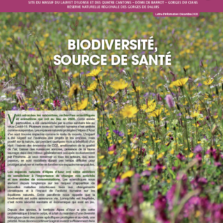 Lettre d'info Espaces Naturels 2020